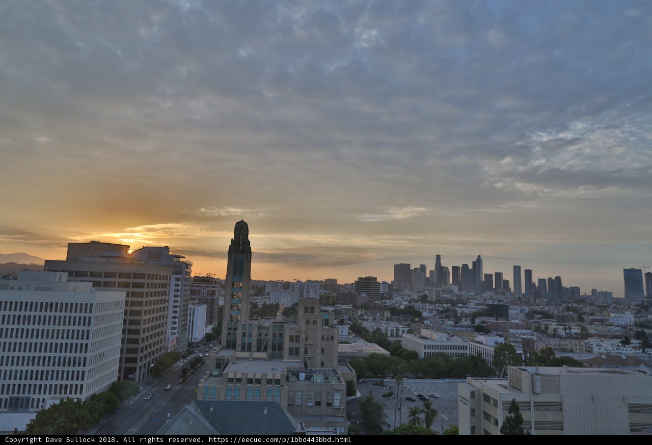 The Golden Horizon