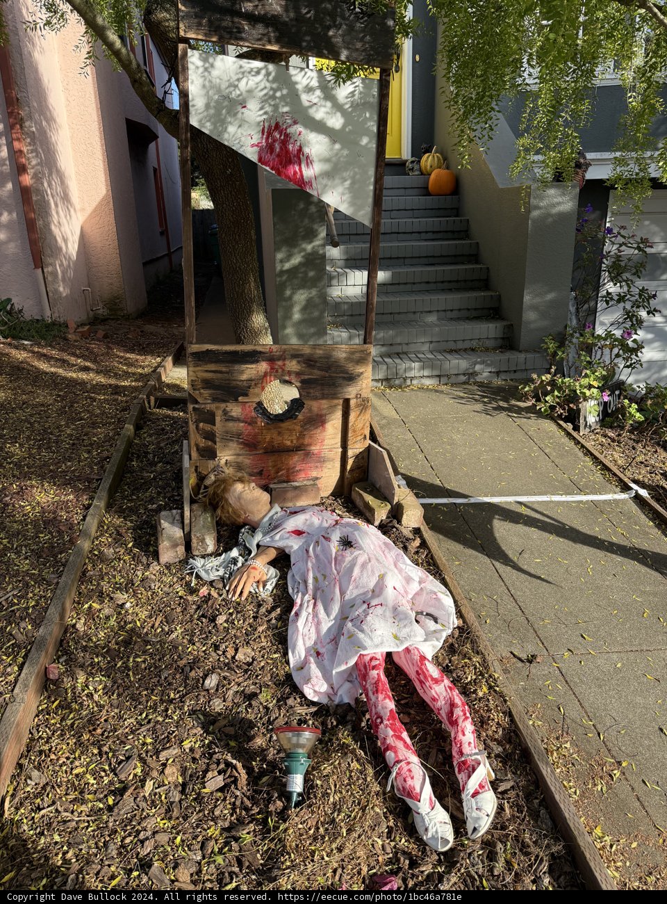 Spooky Pathways of San Francisco