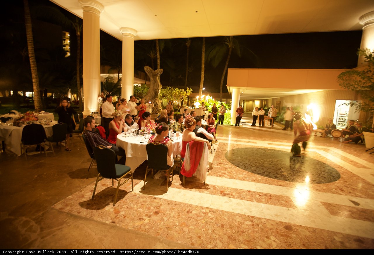 Dining under the Night Sky