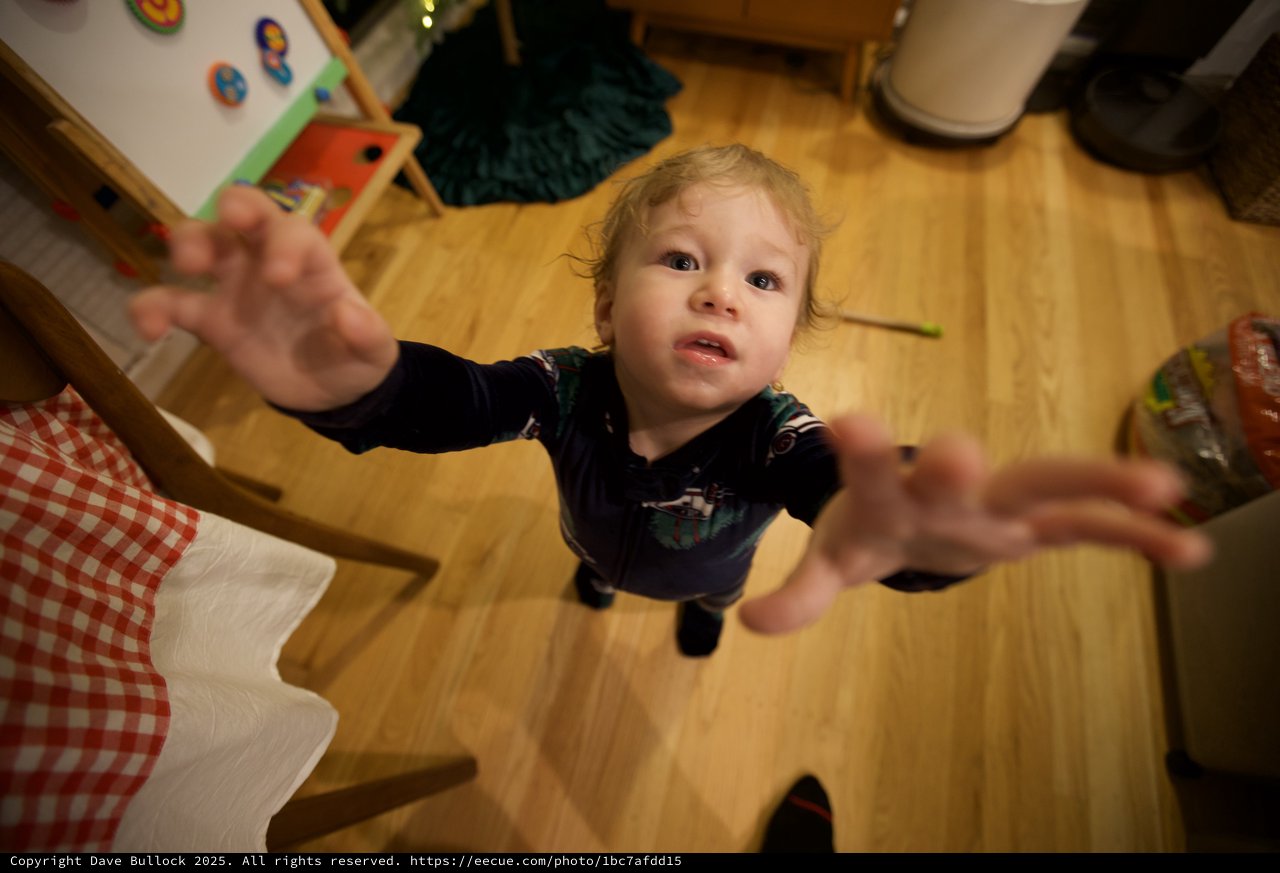 Toddler Reaching Up Toward Camera on Christmas Morning