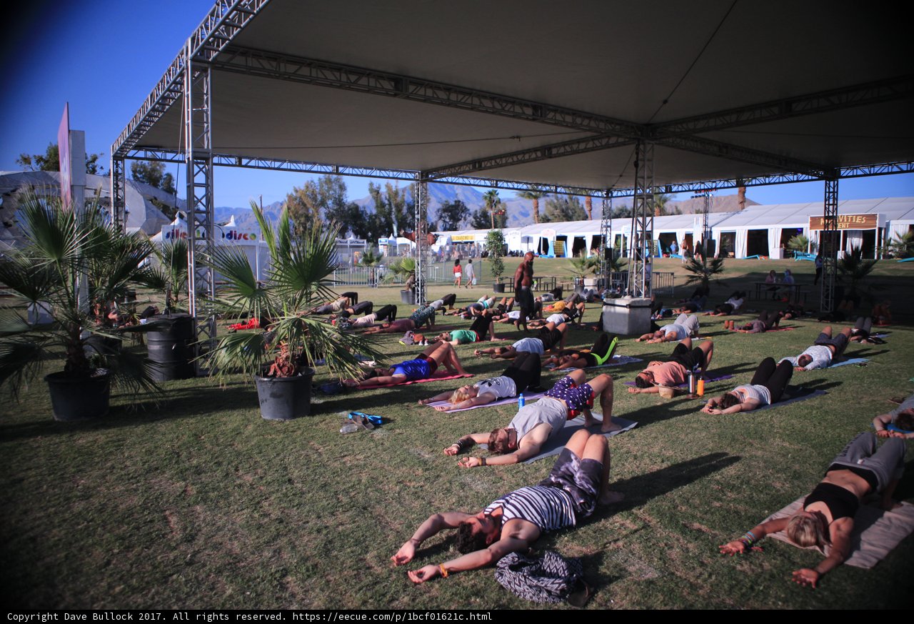 Basking in the Sun at Coachella