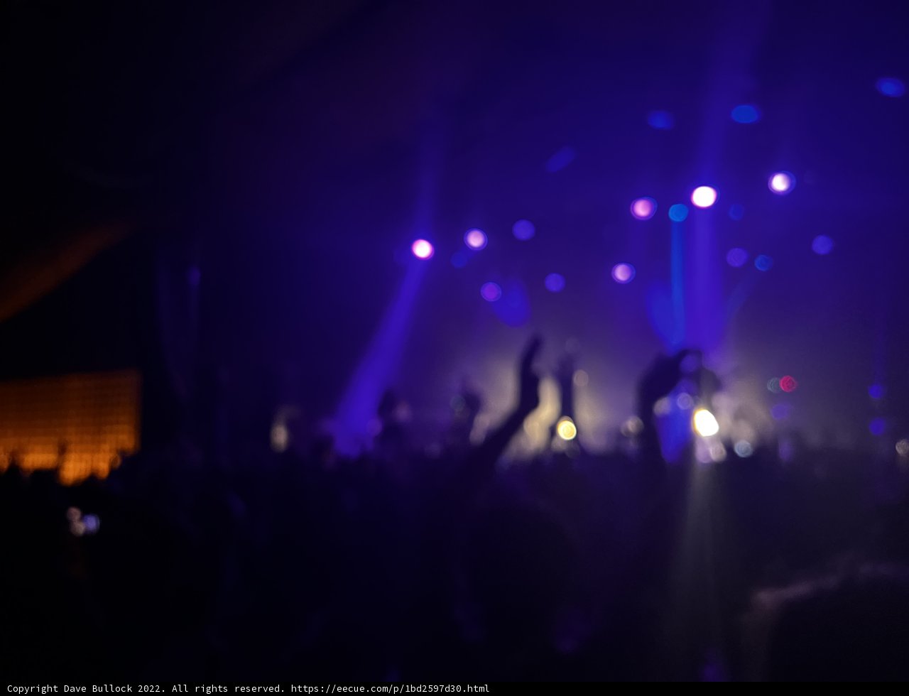 Spotlight on the Crowd at the 2022 Rock Concert