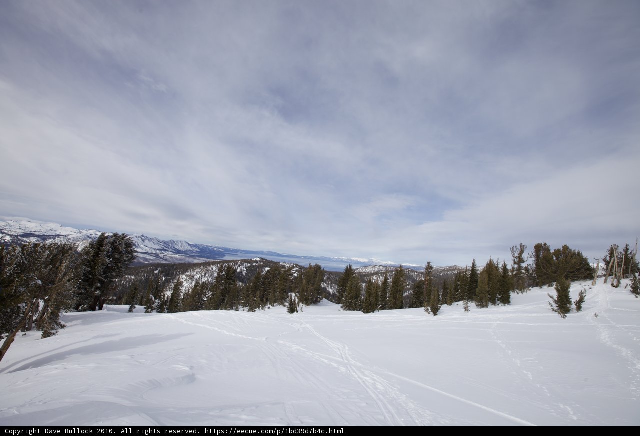Majestic Winter Wonderland