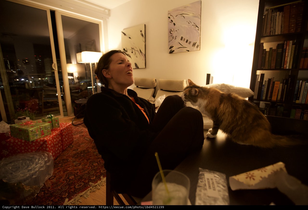 Woman and Fluffy Cat Share a Cozy Holiday Moment