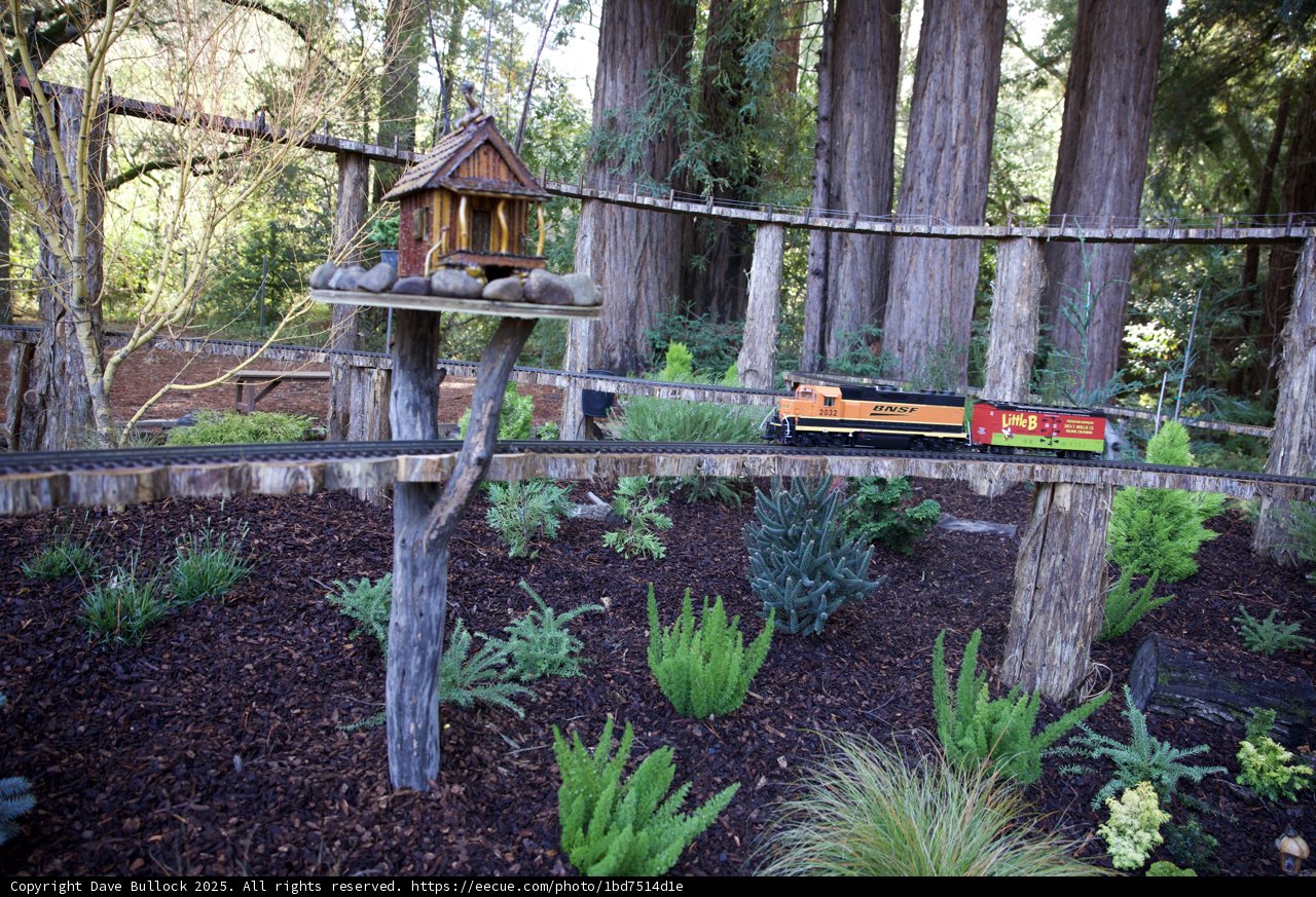 Miniature Railway Adventure in a Forest Wonderland
