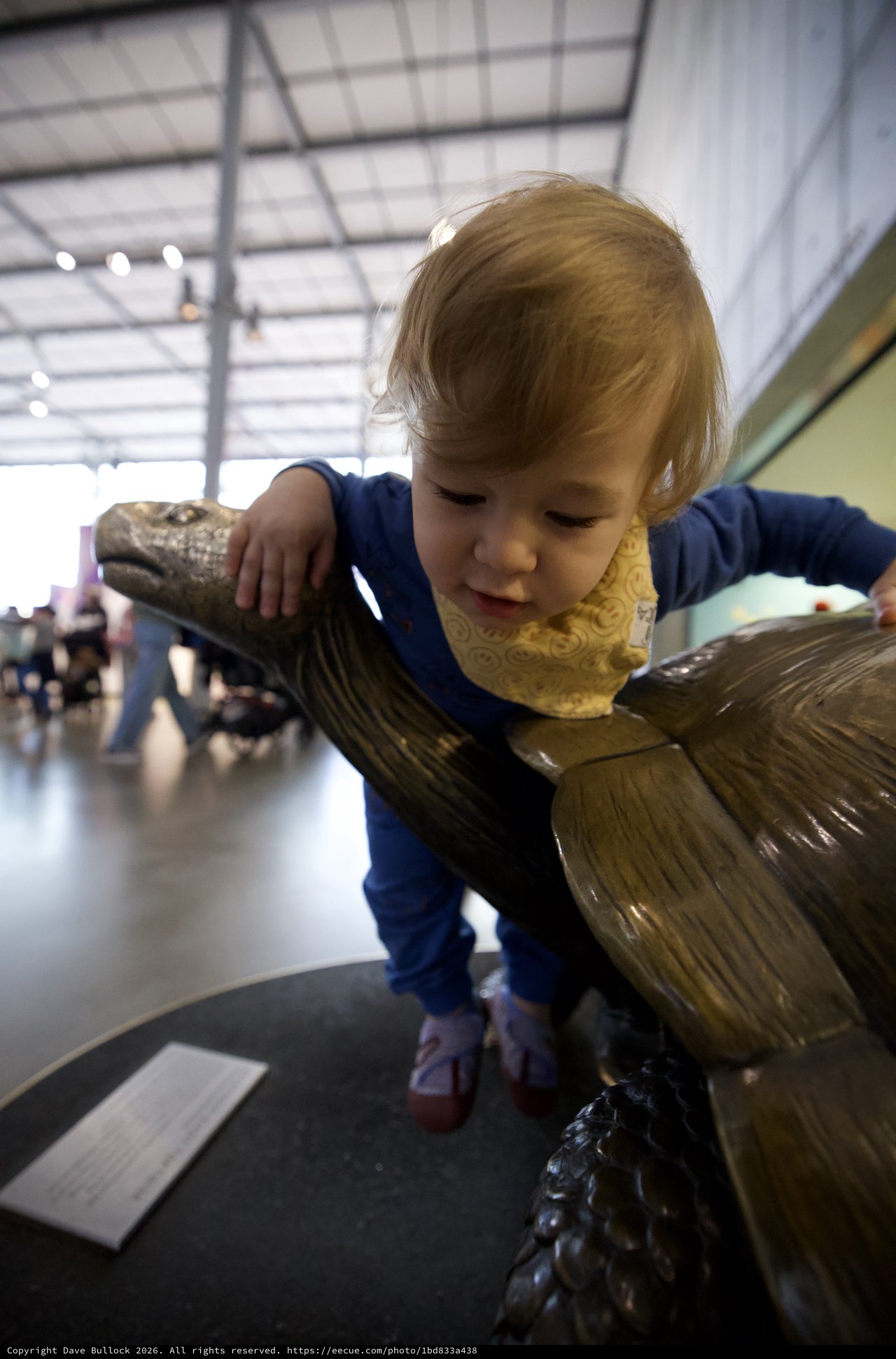 Young Child Exploring Bronze Bird Sculpture in Museum