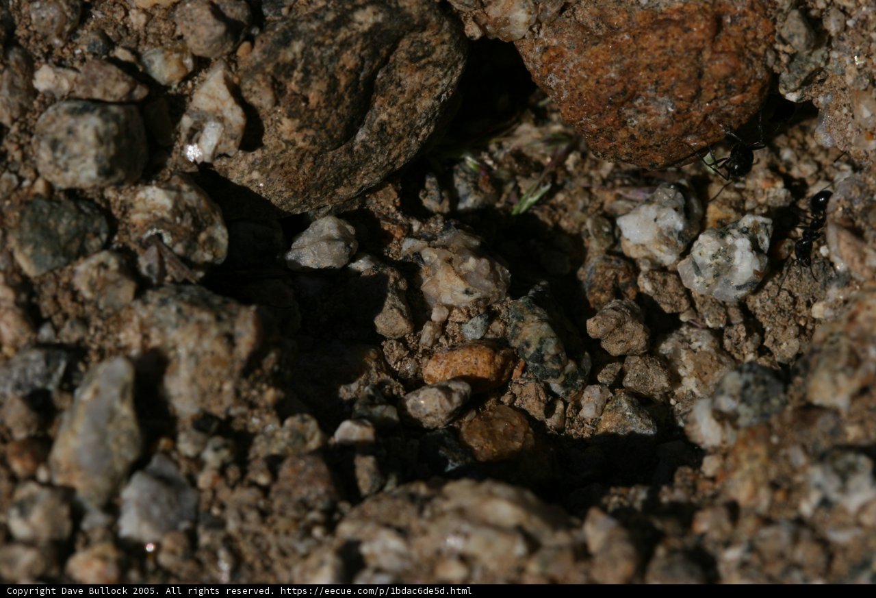 A Rocky Terrain