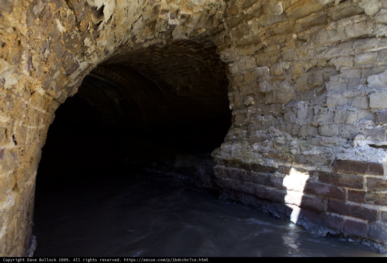 Through the Crypt