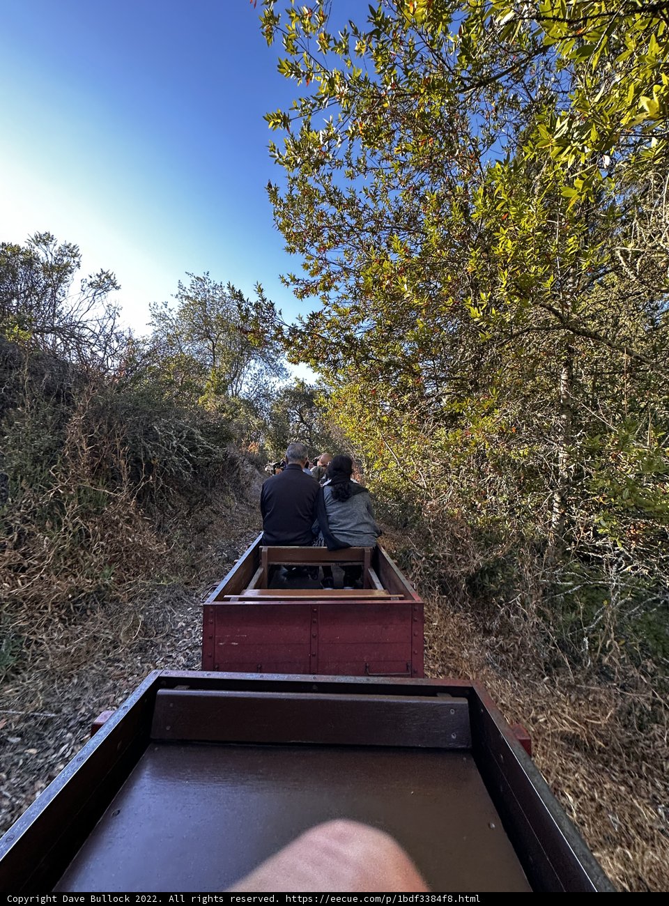 Train Ride through the Scenic Tilden Park
