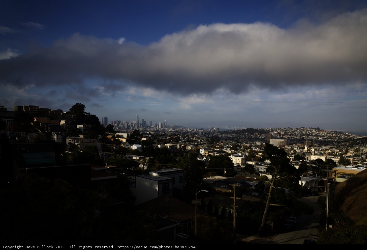 San Francisco Cityscape: A Hillside Perspective