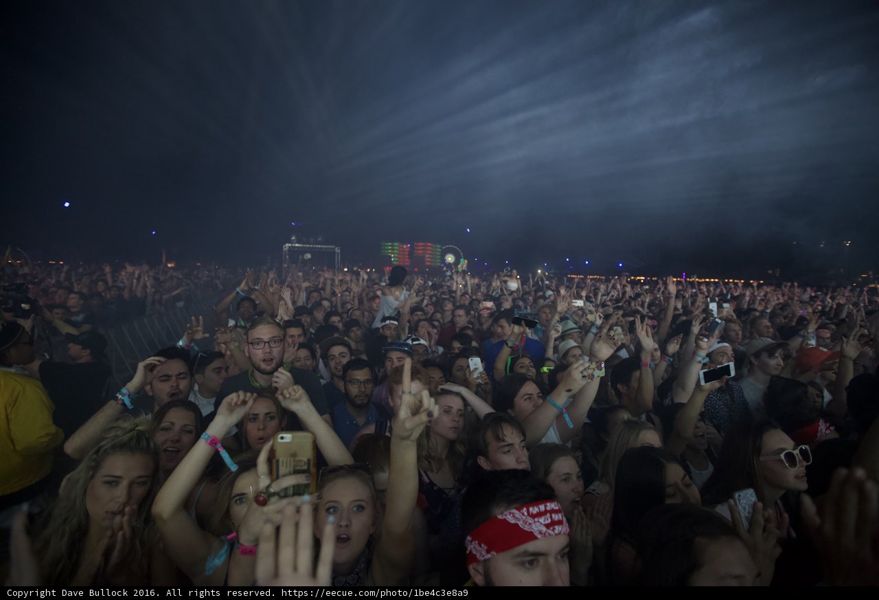 Rocking Out at Coachella