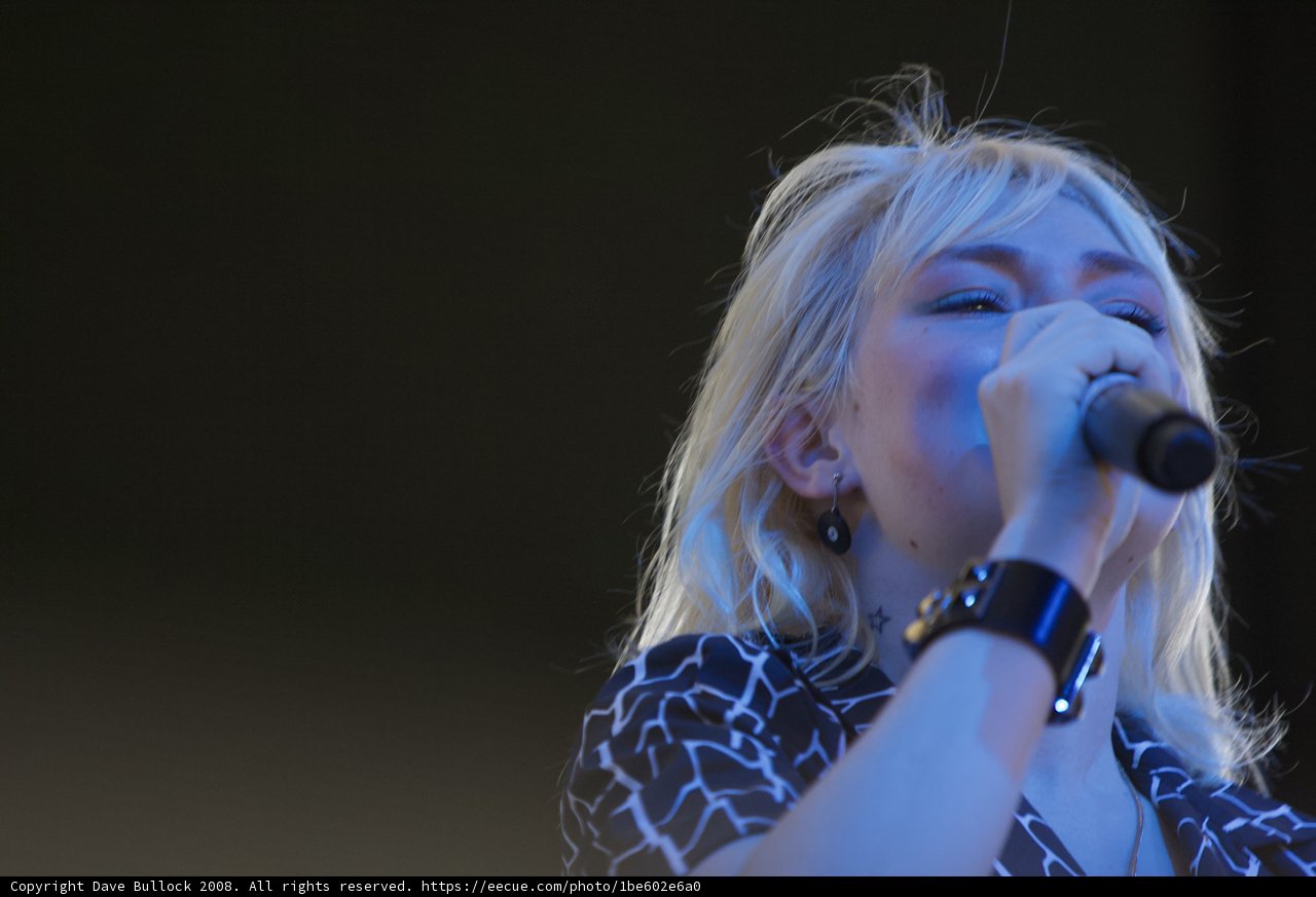 Blond Entertainer Rocks Coachella Stage