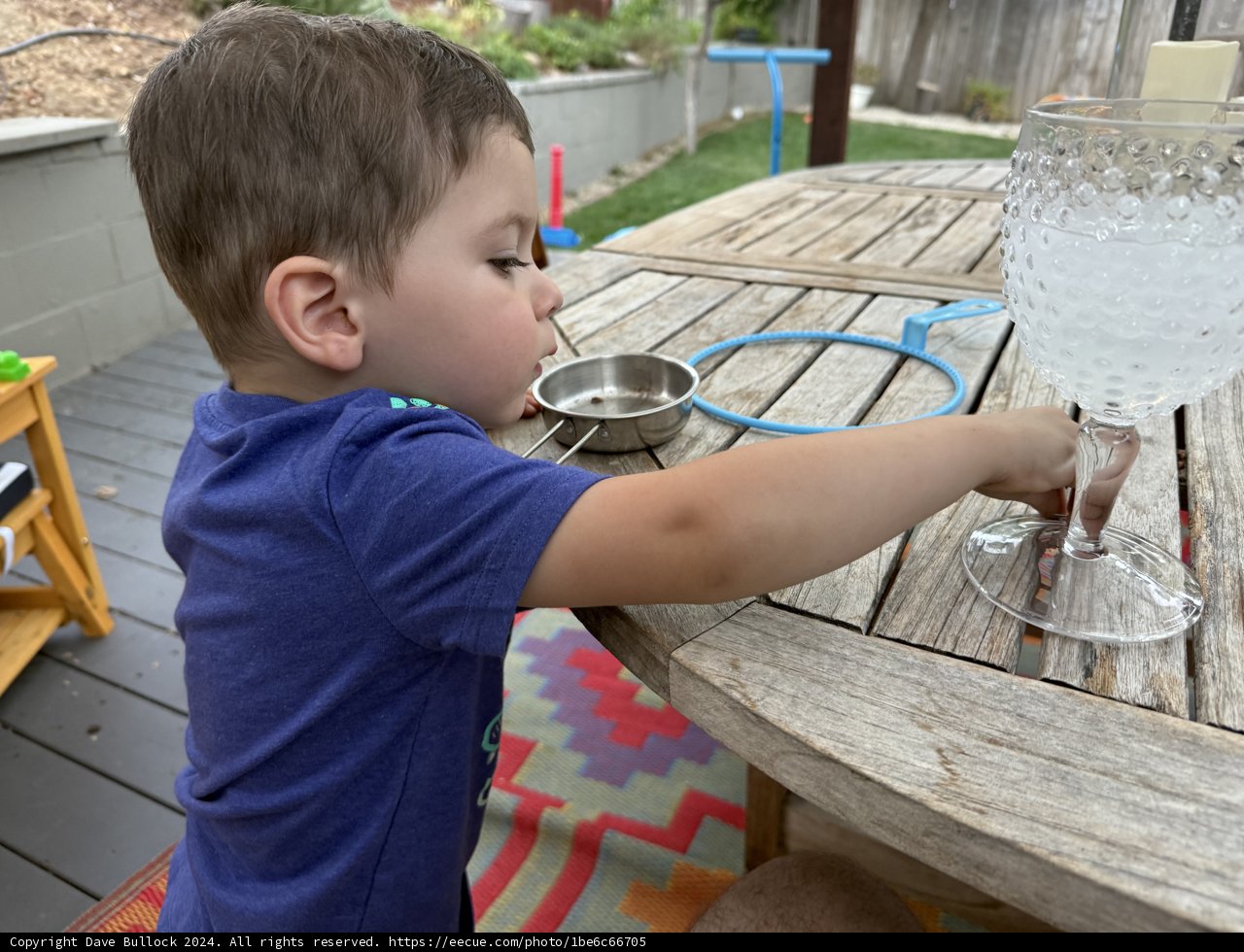 Curious Moments on the Deck