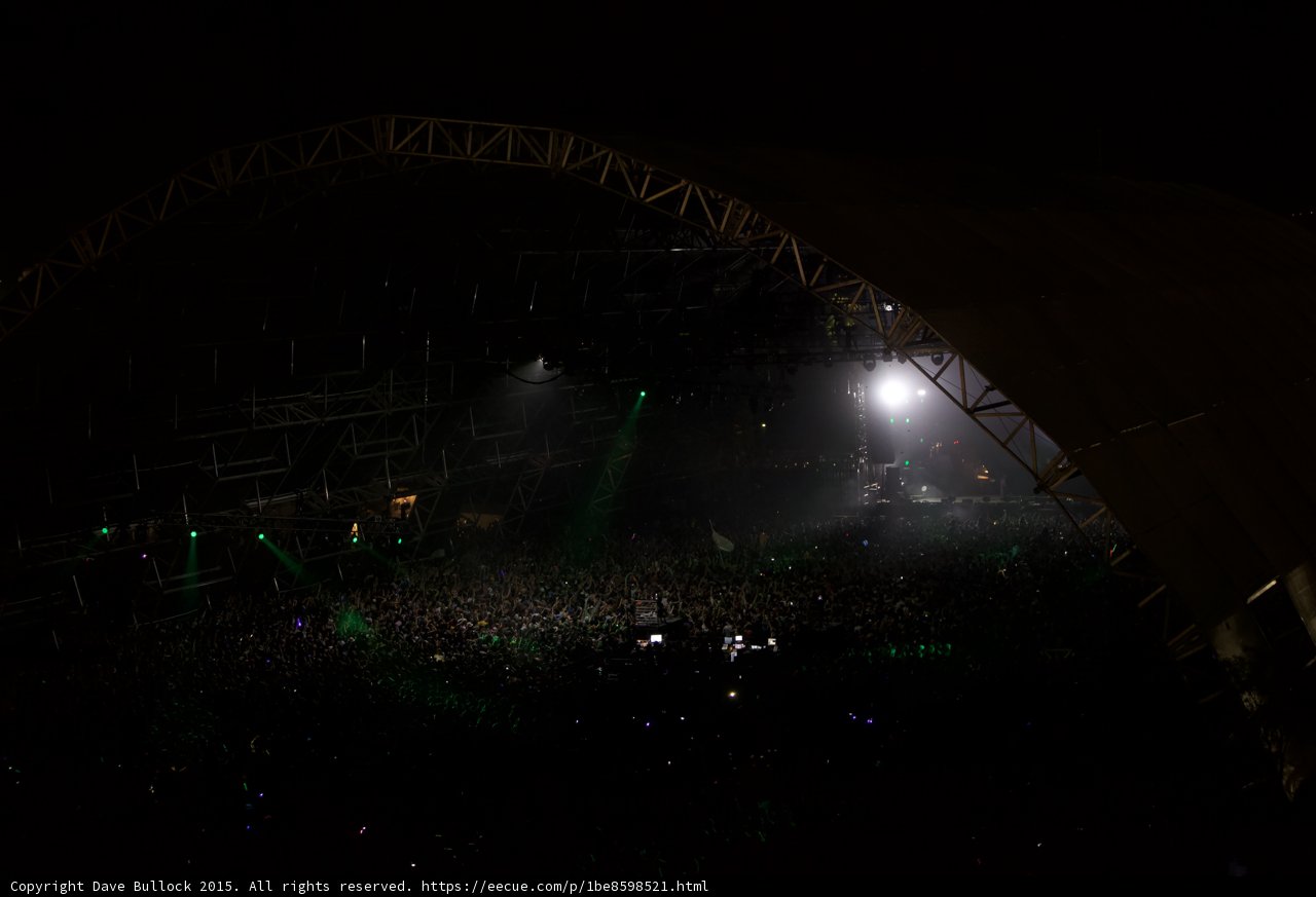 Electric Night: Captivating the Crowd
