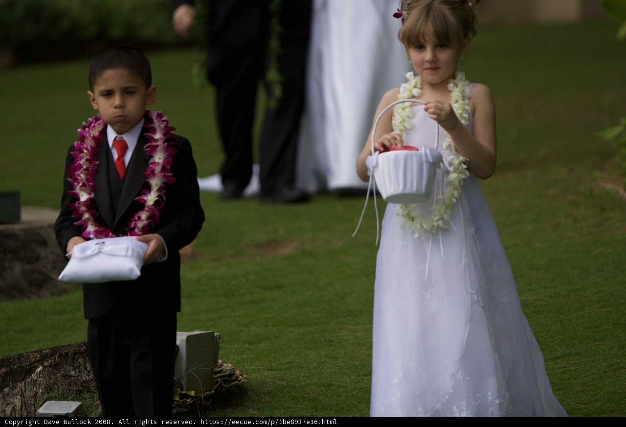 Wedding Bells