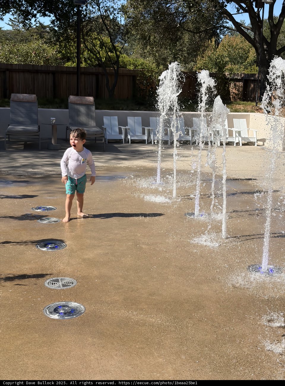 Joyful Dance in the Sunlit Fountains