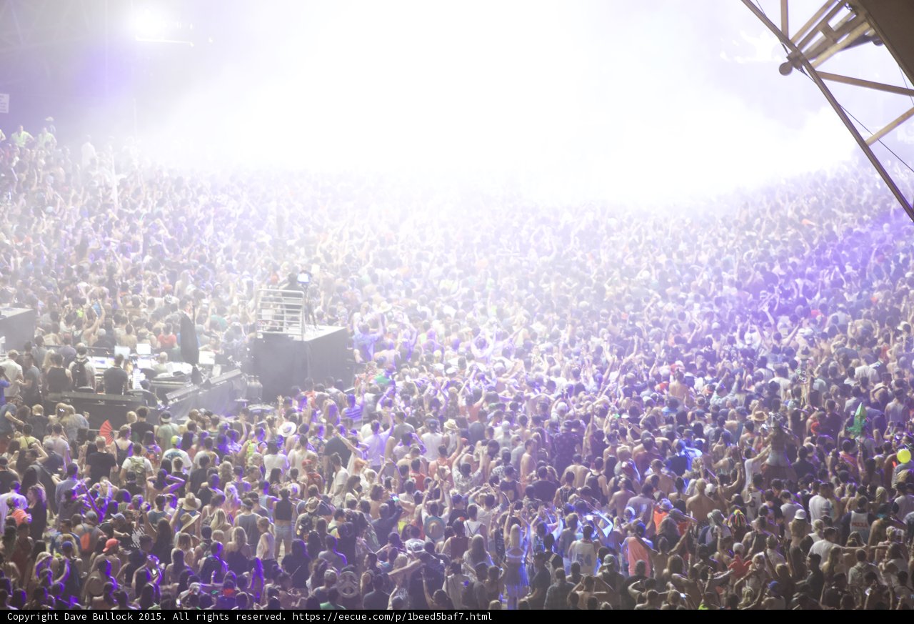 Electric Crowd