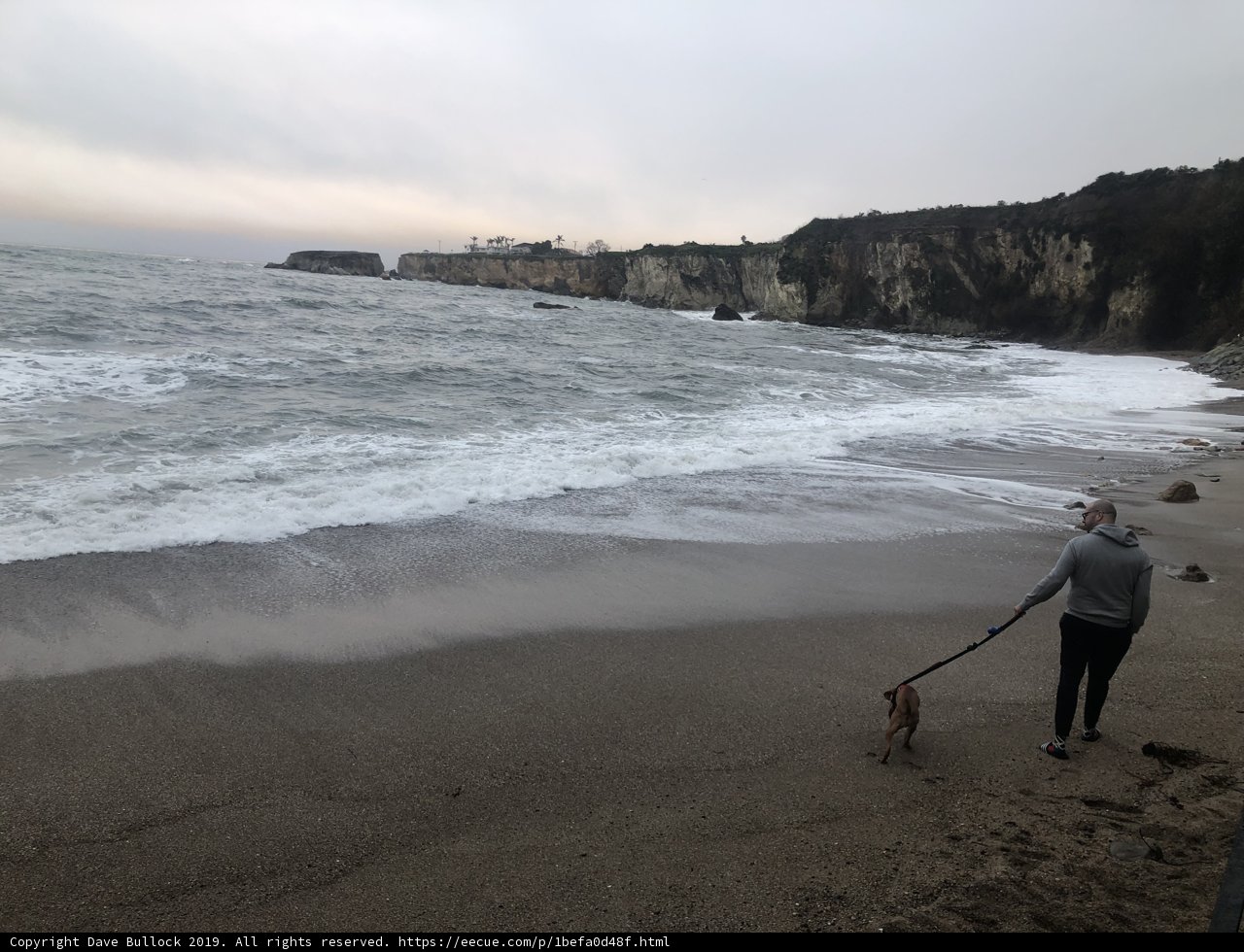 A Peaceful Walk with My Furry Companion