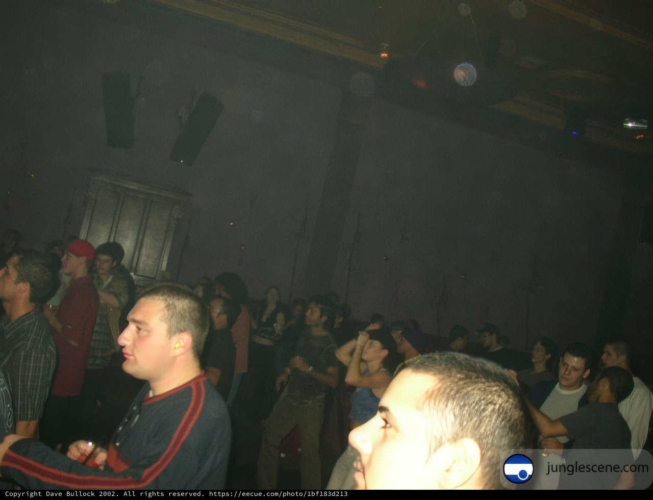 Nightclub Fun