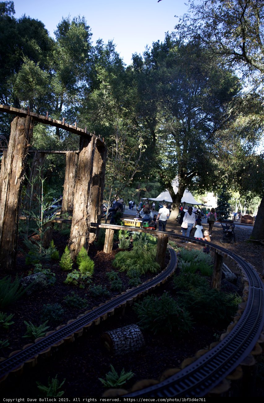 Enchanting Journey Through Thistlewyck