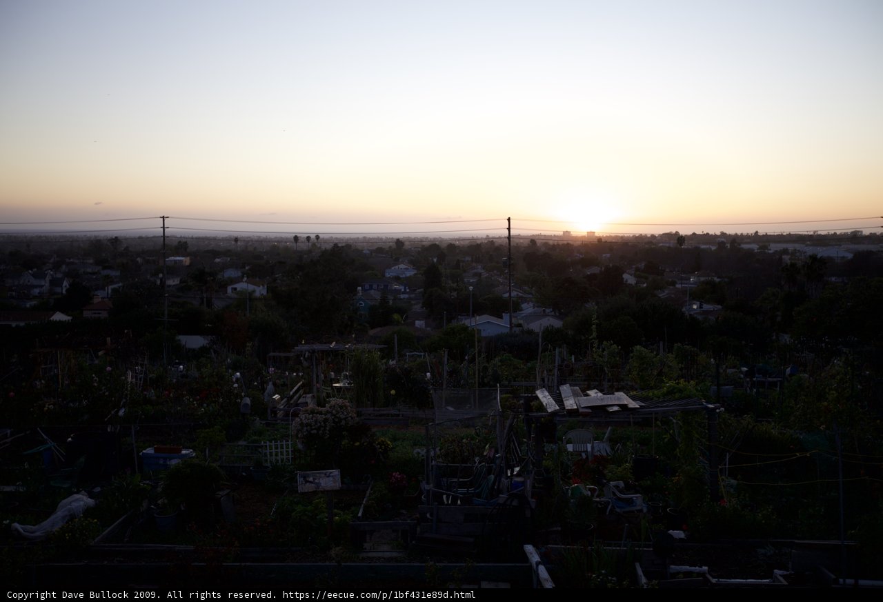 Serene Sunset over the Community Garden