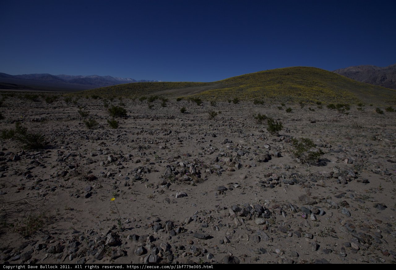 Barren Beauty