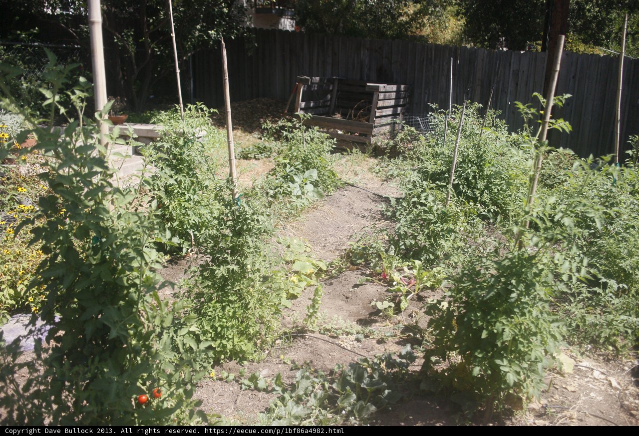 A Lush Garden in Altadena