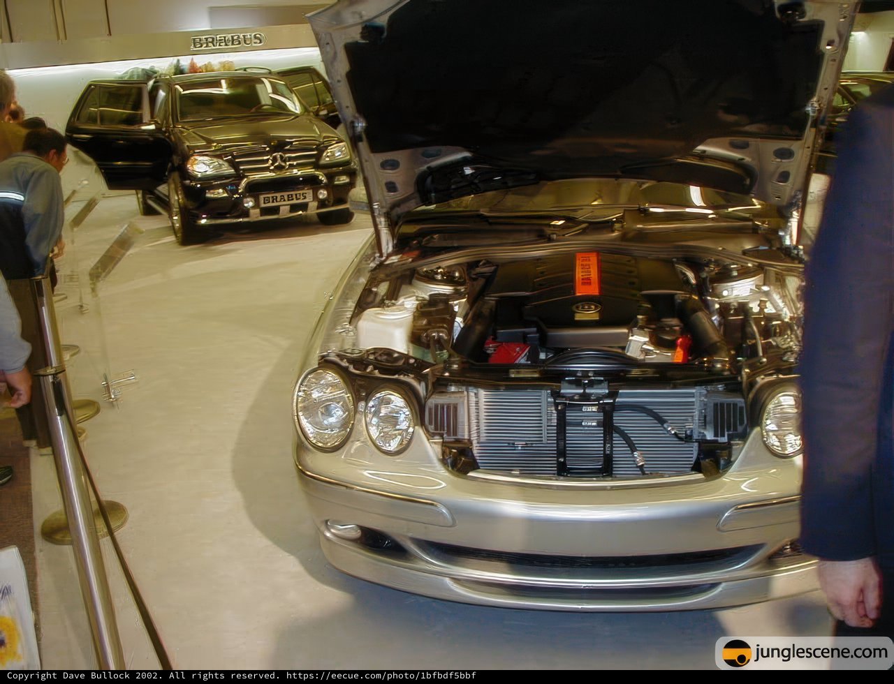 Twin Mercedes-Benz S-Class Steals the Show