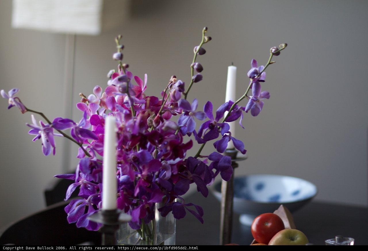 Floral Ambience