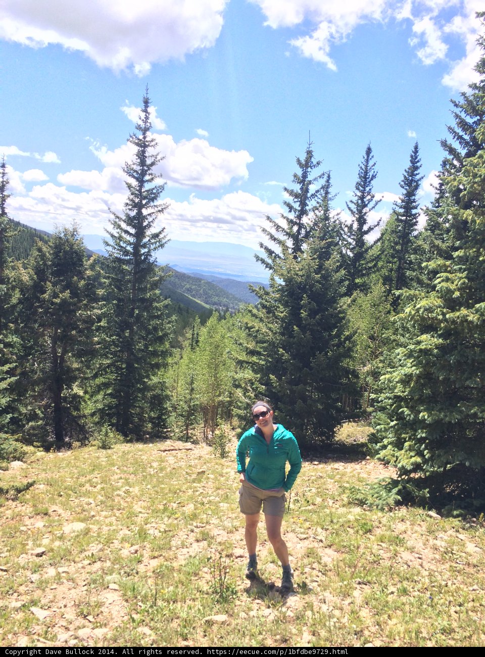 Conifer Grove Adventure