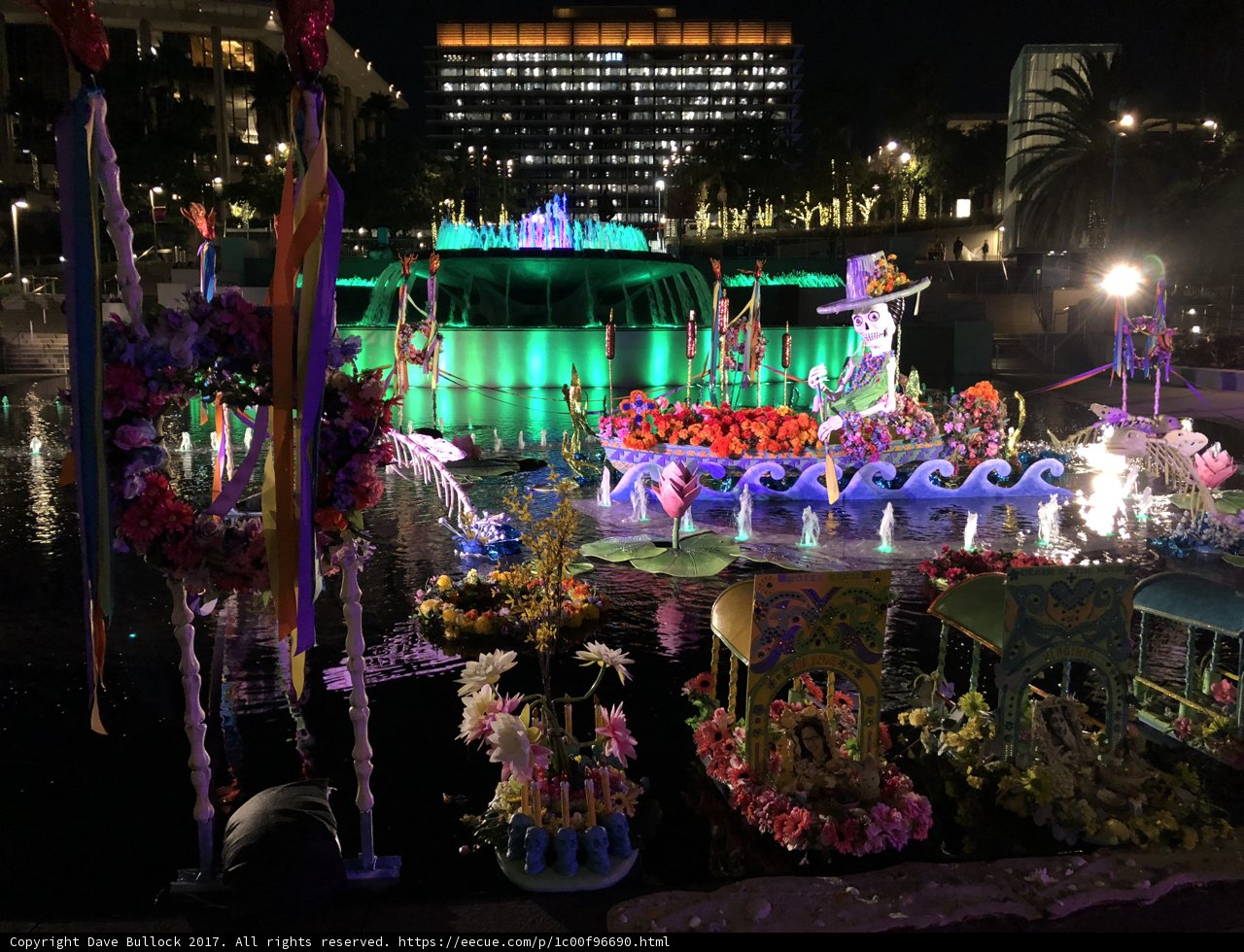 Colorful Flower Float in the Night Sky