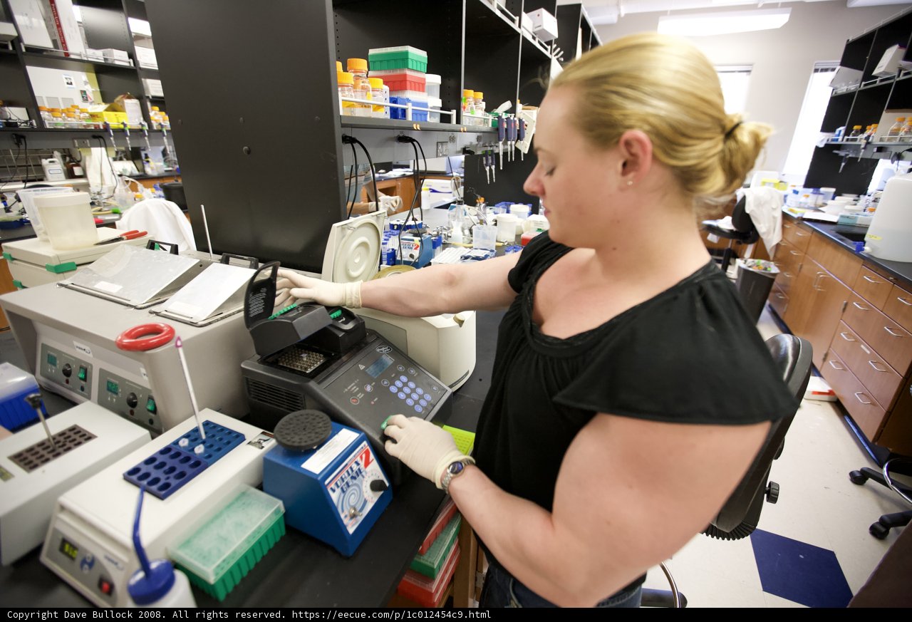Conducting Experiments in the Lab