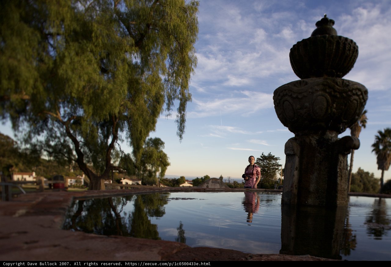 Serenity by the Willow Pond
