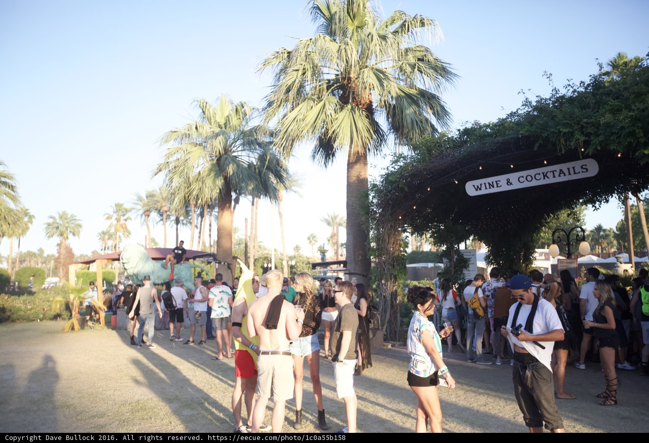 Weekend Festival Fun