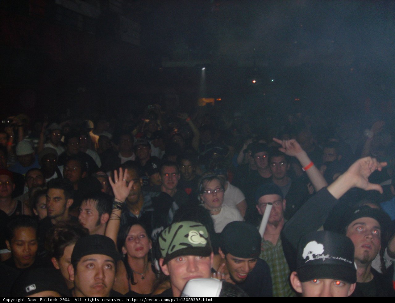 Urban Nightlife Concert Crowd