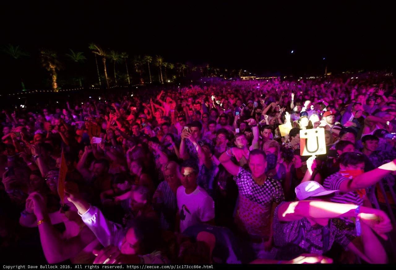 Coachella Nightlife: An Electric Crowd