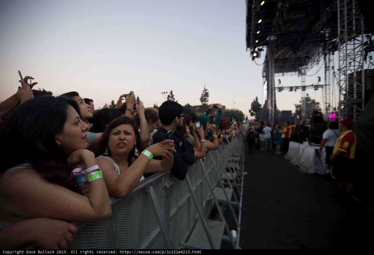 Woman at Stage Barricade