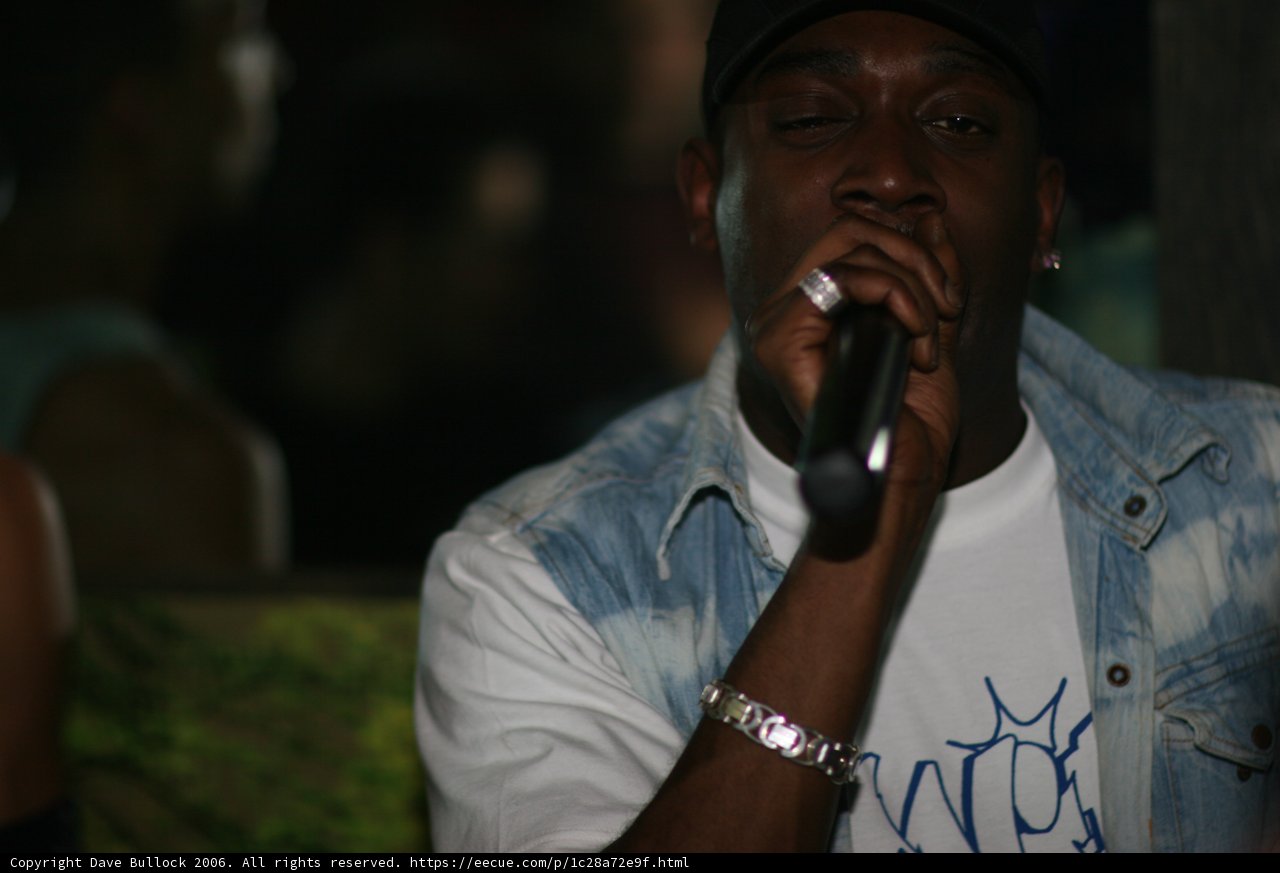 Skibadee with the Mic