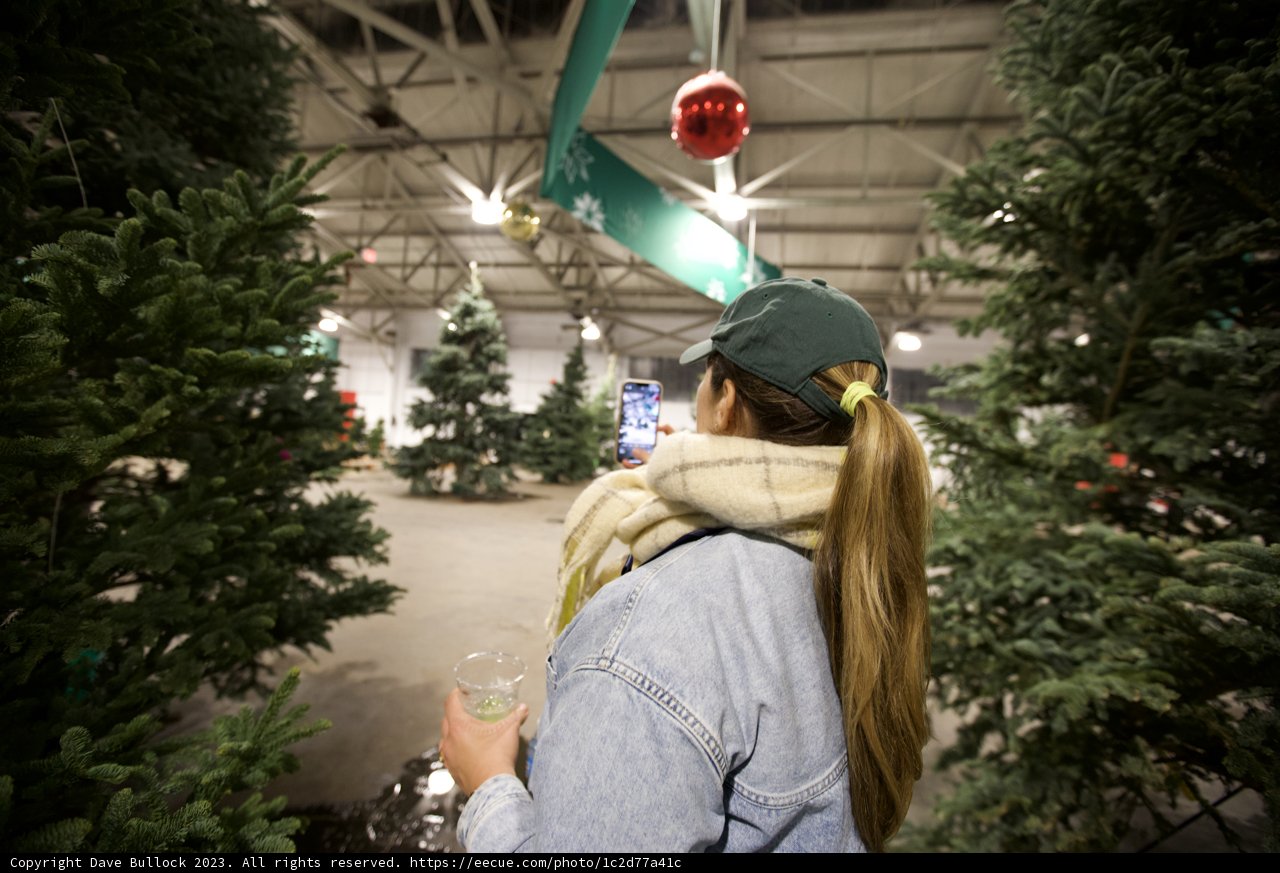 Capturing the Magic of Holiday Shopping