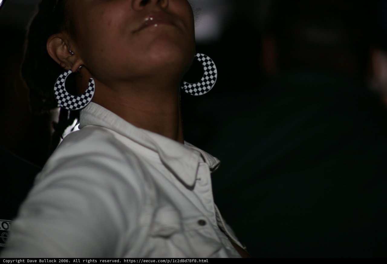 Dark and Daring Earrings