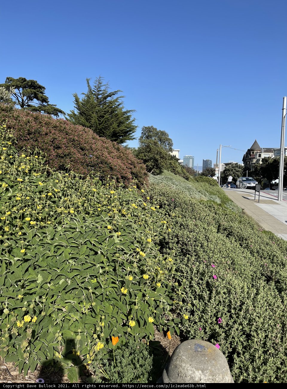Serene Hillside Garden