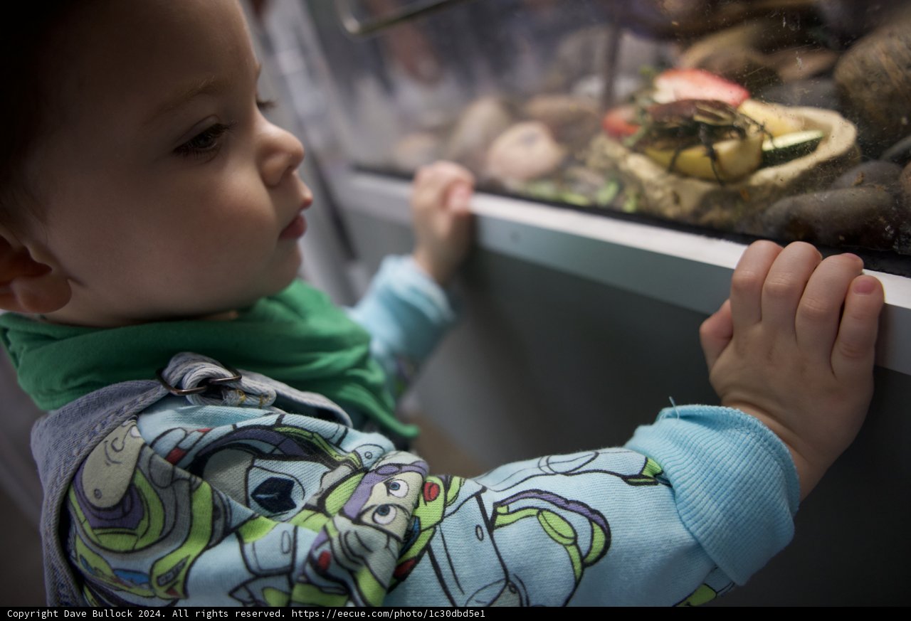 A Curious Encounter at the California Academy of Sciences