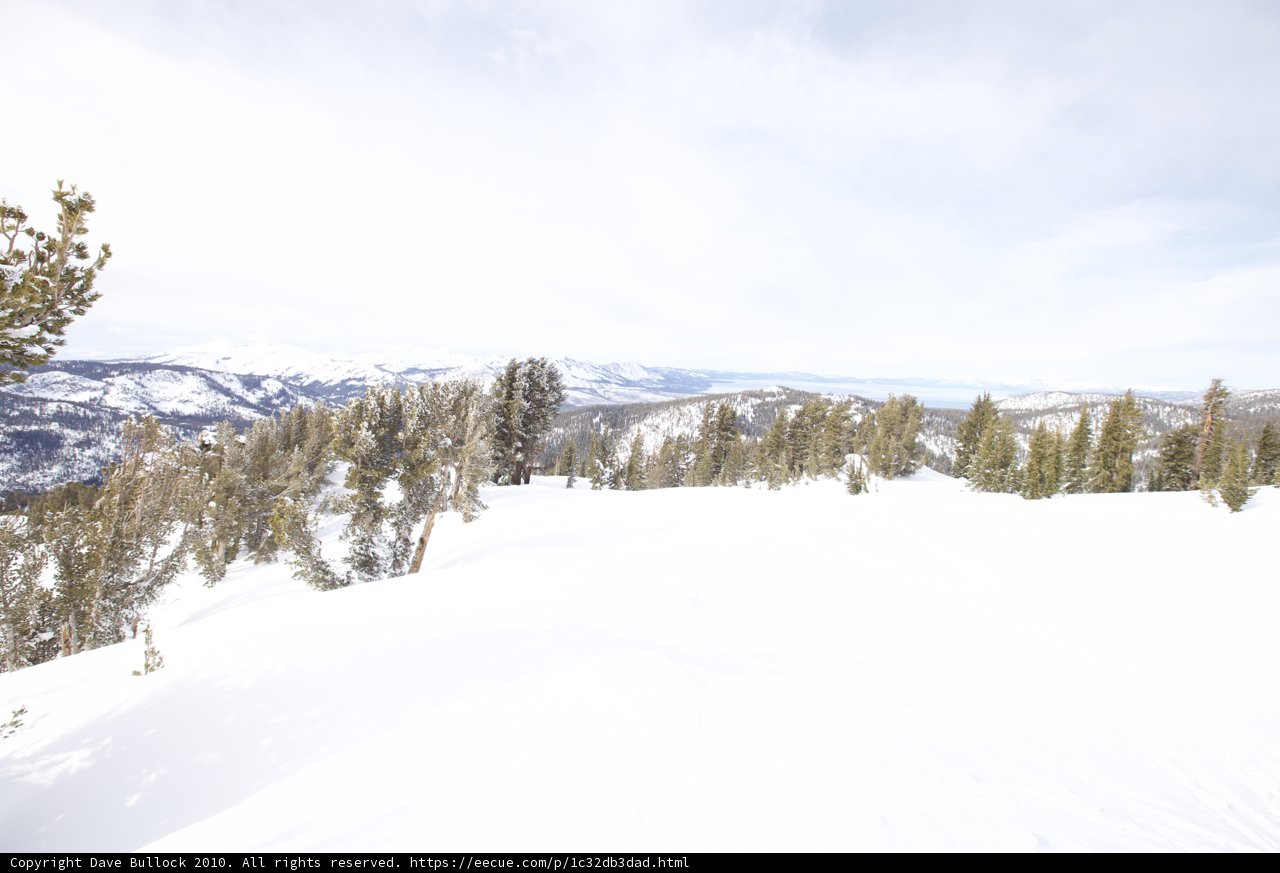 Shredding through the Powder