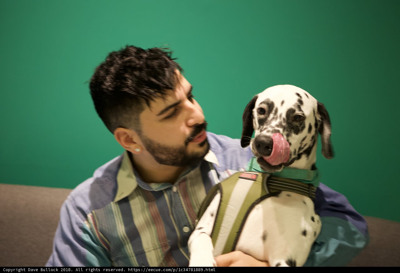 Man and His Dalmatian Companion