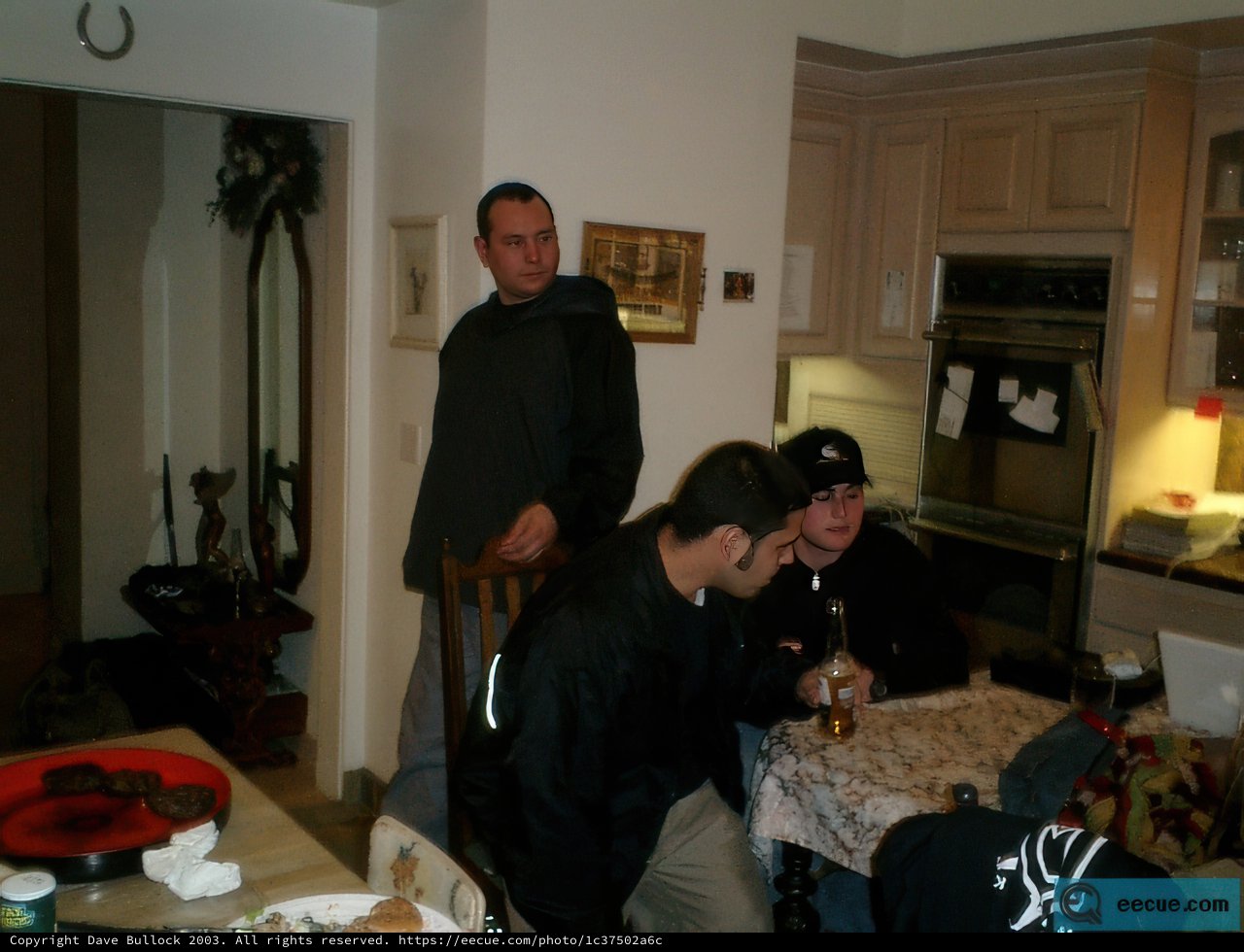 Dining Room Portrait