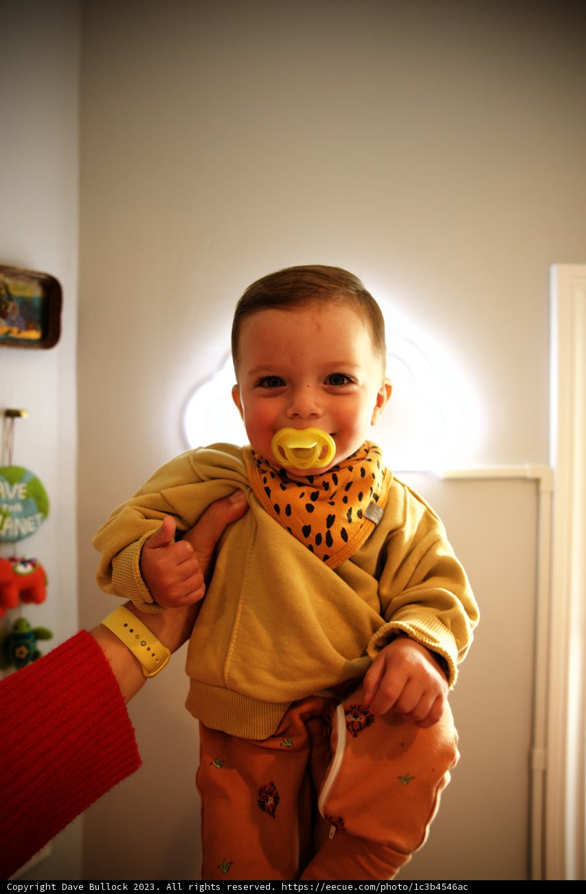 Wesley's 11-Month Celebration