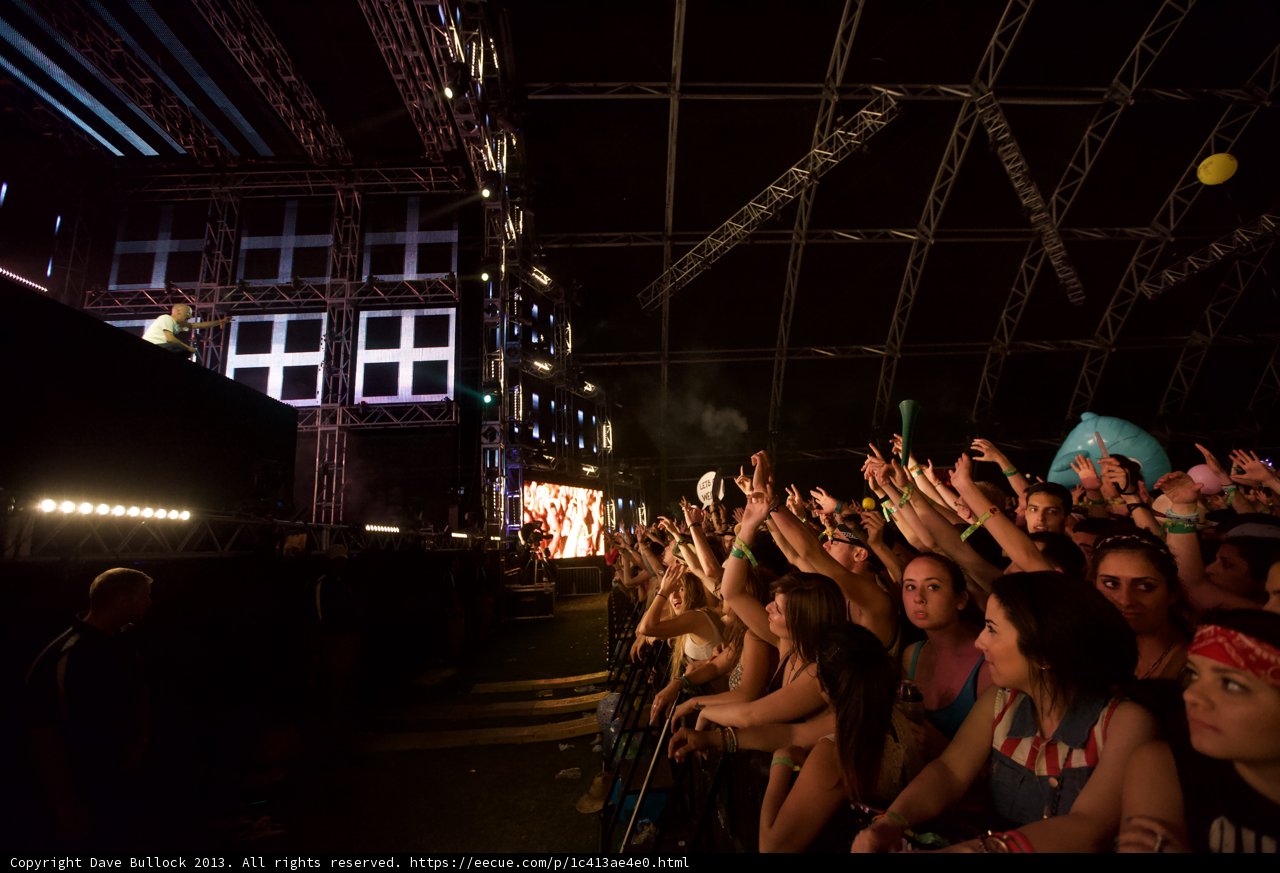Coachella Crowd Goes Wild