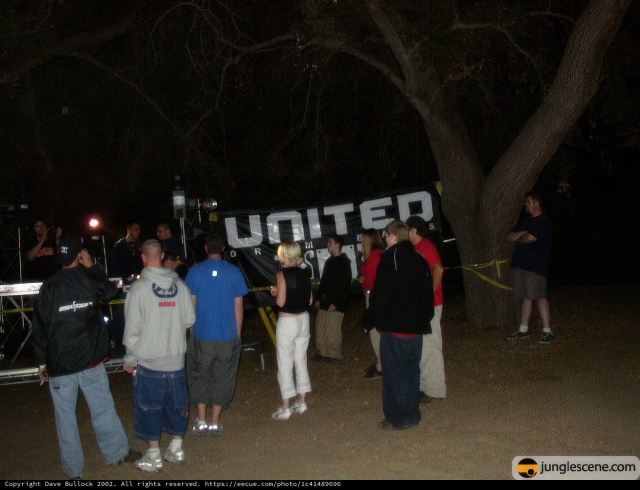 Nighttime Gathering around Giant Tree
