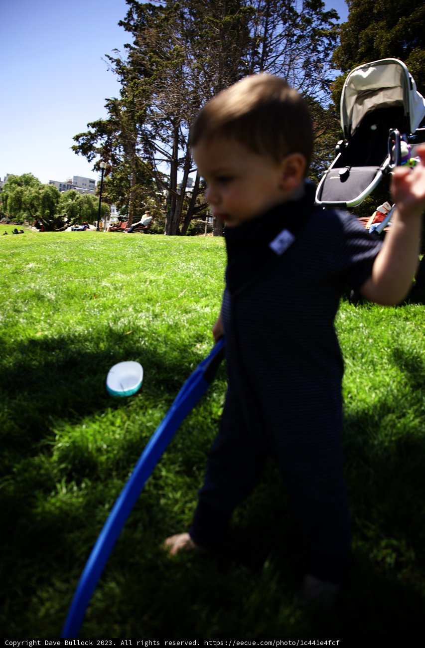 Summer Flight: Fun at Dolores Park