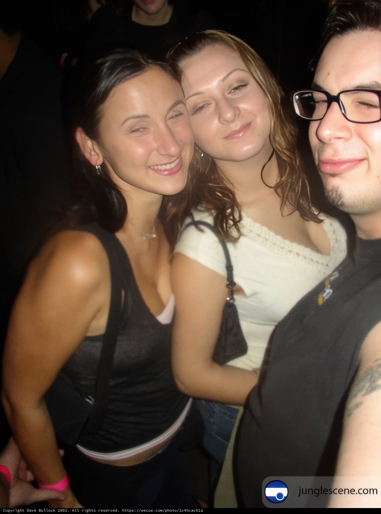 Picture Perfect Trio